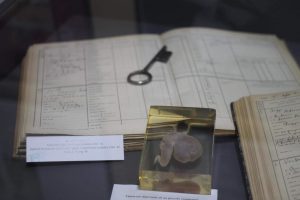 3829249a 1545 413b B317 3c6ddb975f4a